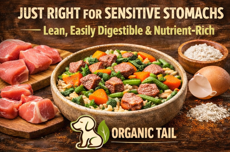Organic Turkey Balance (Lean, Sensitive-Stomach Friendly)